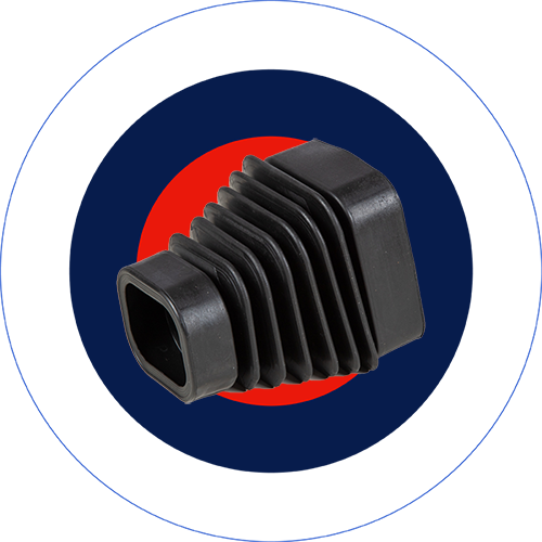 processed__MG_8060_web_color_Rez_Robert Holland